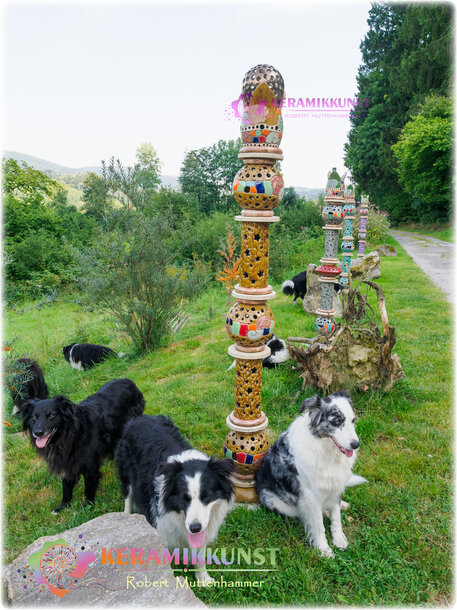 Artikel Bild